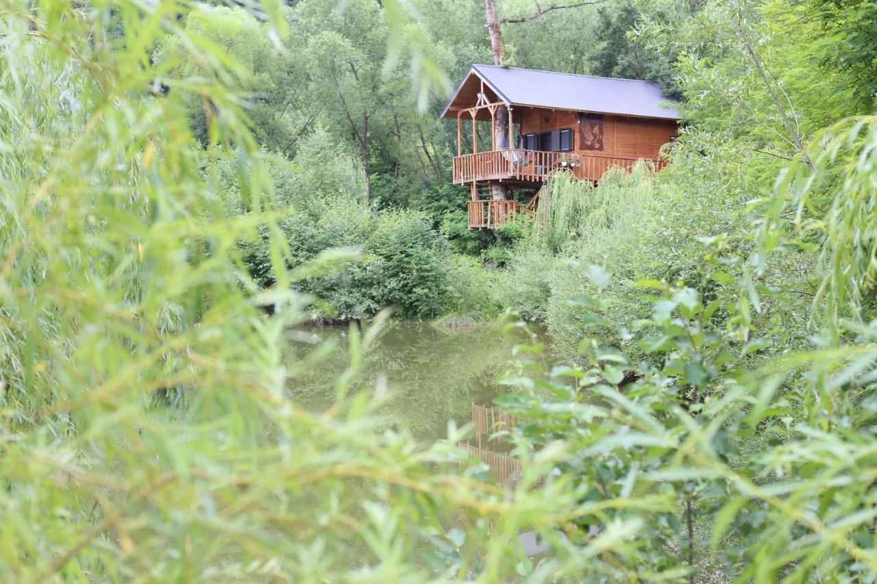 Вилла Cuibul Vulturilor - Casuta In Copac Мойсей Экстерьер фото