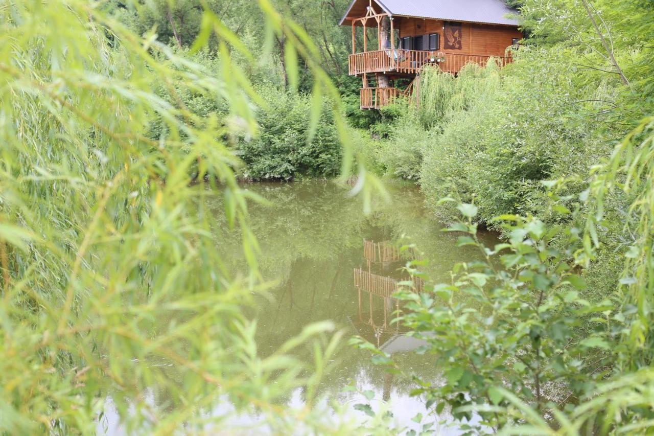 Вилла Cuibul Vulturilor - Casuta In Copac Мойсей Экстерьер фото
