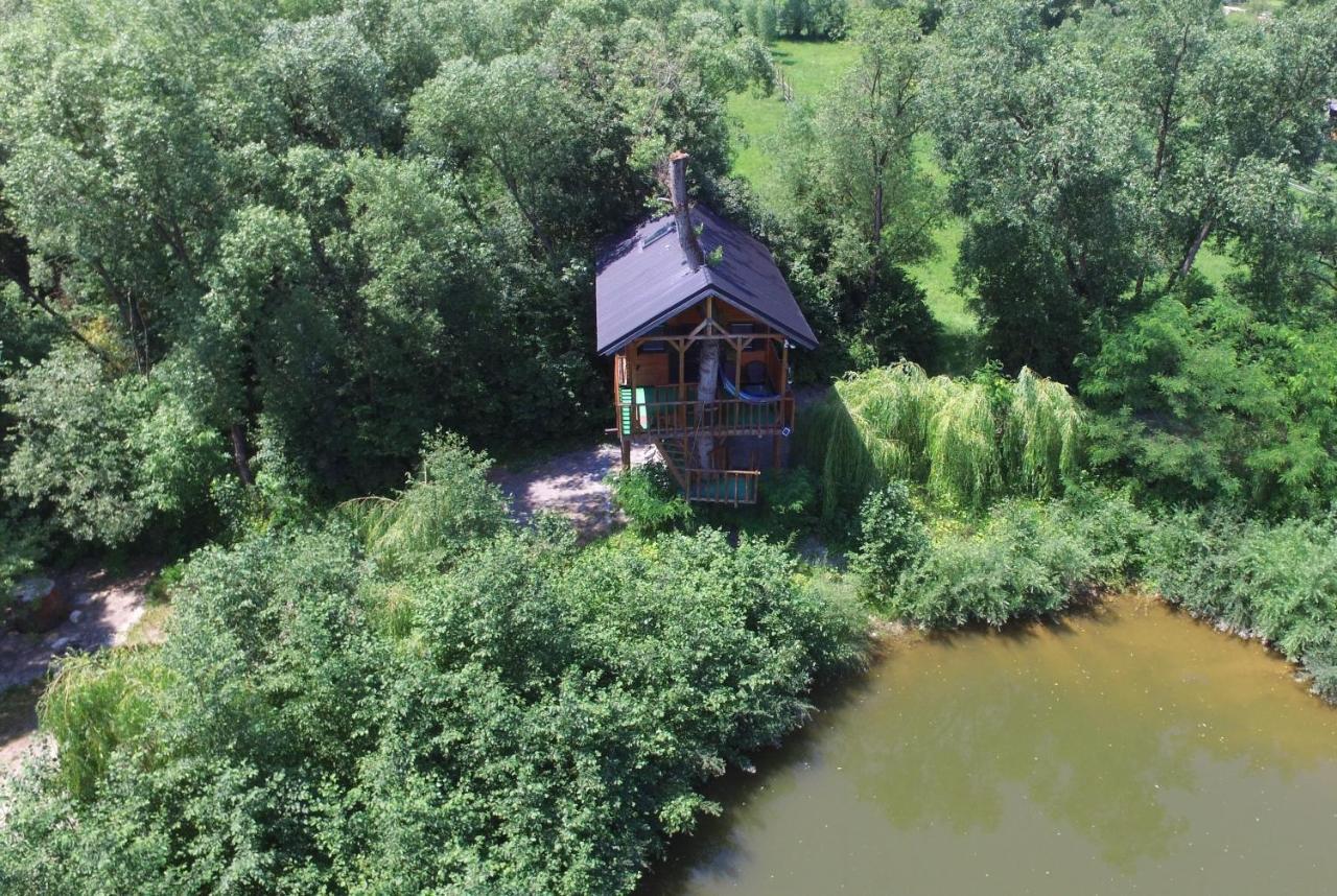 Вилла Cuibul Vulturilor - Casuta In Copac Мойсей Экстерьер фото