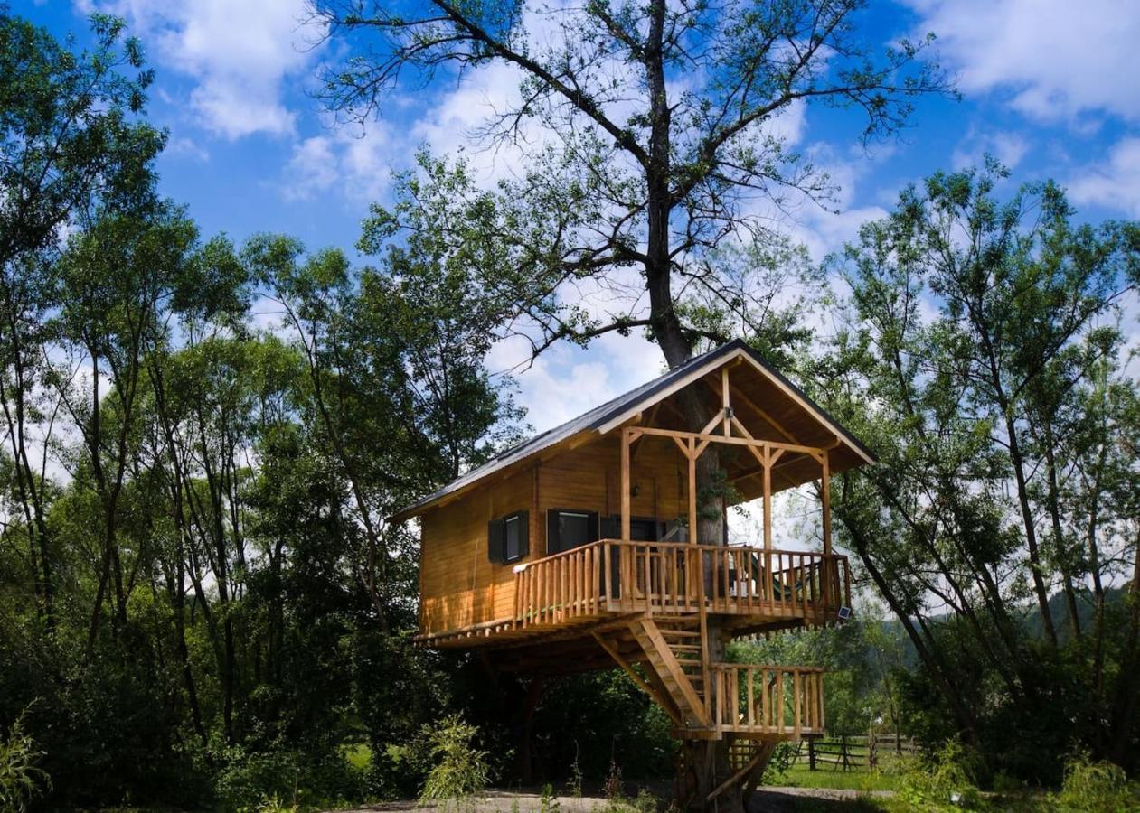 Вилла Cuibul Vulturilor - Casuta In Copac Мойсей Экстерьер фото